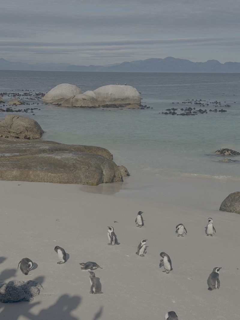 Boulders Beach