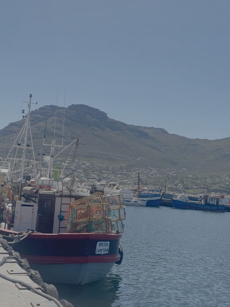 Hout Bay Harbour