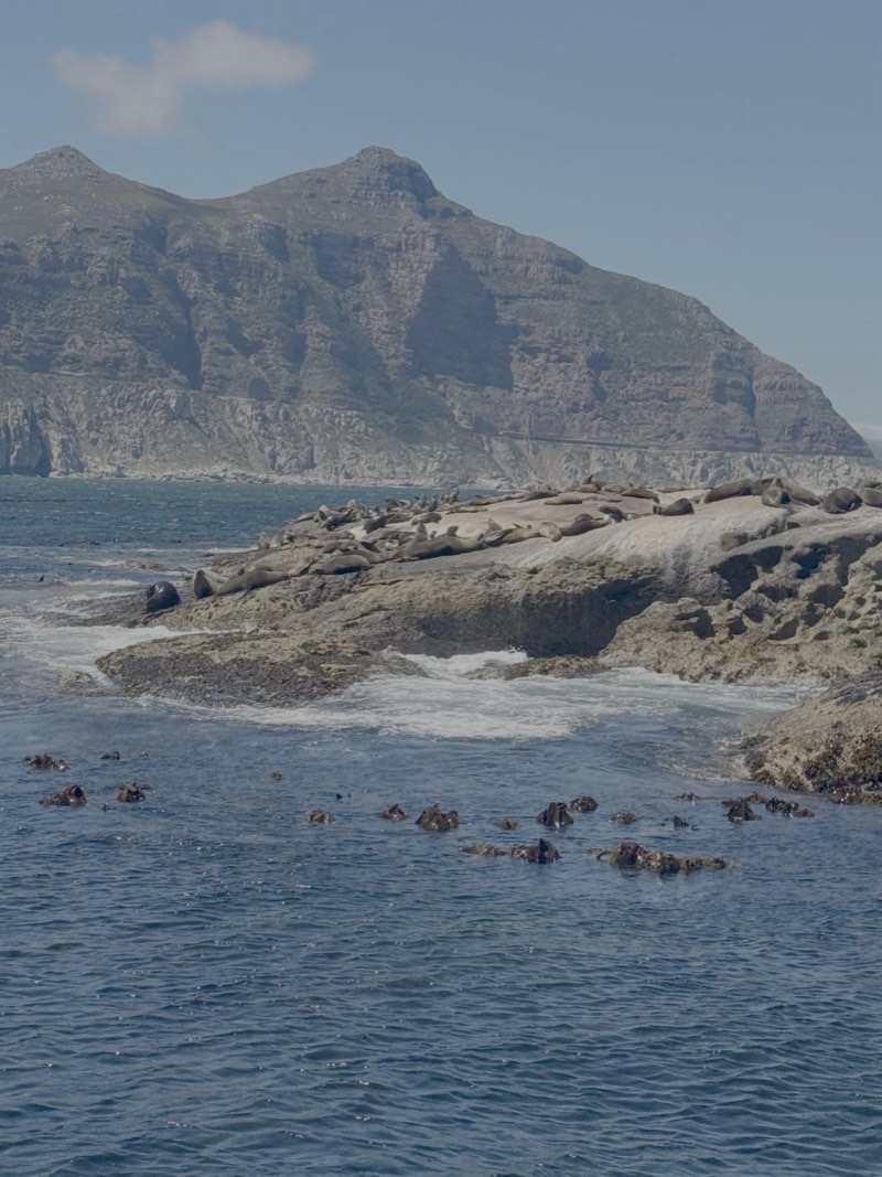 Seal Island